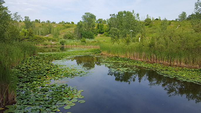 Evergreen/Brick Works DTAH Diamond Schmitt Claude Cormier Associes Toronto